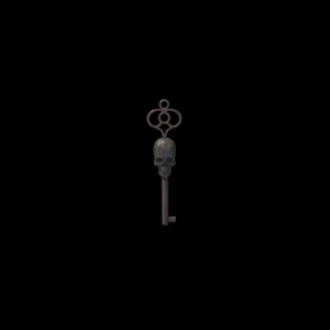 Skull Key *1